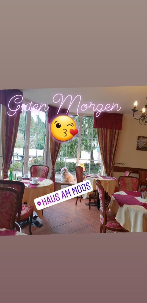 לינה וארוחת בוקר זלצבורג Haus Am Moos מראה חיצוני תמונה